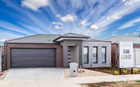 4 Bedroom Family Home in Tarneit - Photo 5