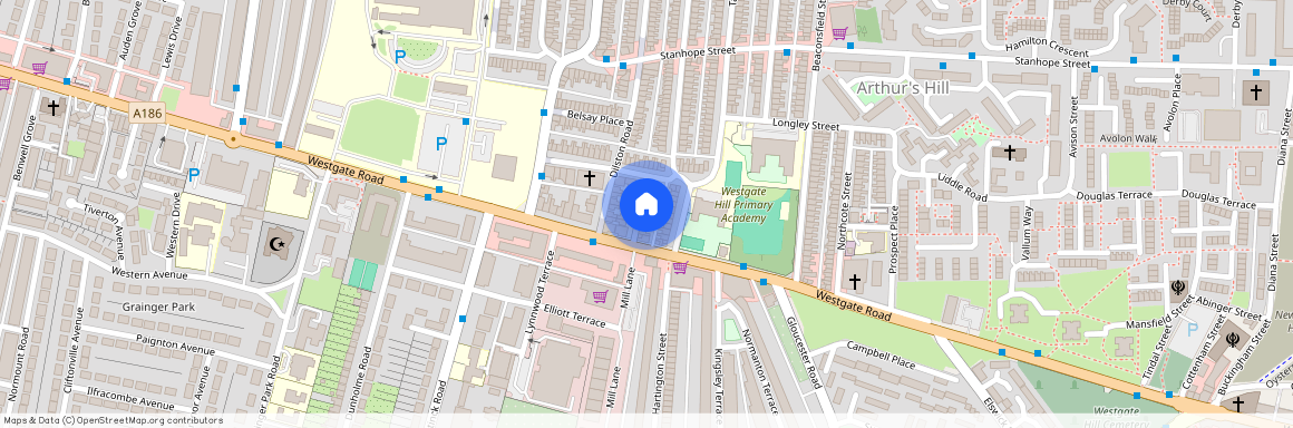 Chelsea Grove, Newcastle Upon Tyne, NE4