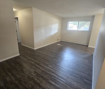 Modern Ground Floor 2 Bedroom in the Heart of Downtown - Photo 1