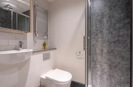 Studio Flat, Rodney Street, L1 - Photo 4
