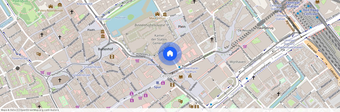 Uilebomen, 2511 CK, Bagijnestraat, Den Haag