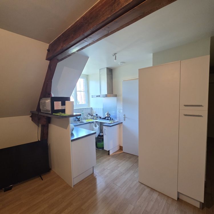 Location Appartement 2 pièces 51m² SULLY SUR LOIRE 45600 - Photo 1