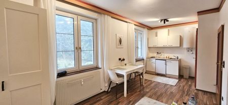 Apartments ab 398 EUR zur Kurzzeitmiete - Toplage im Naturpark Hohe Wand - Photo 3