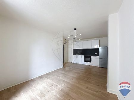 Appartement 1 chambre(s) à louer - Chalon-sur-Saône - Photo 4