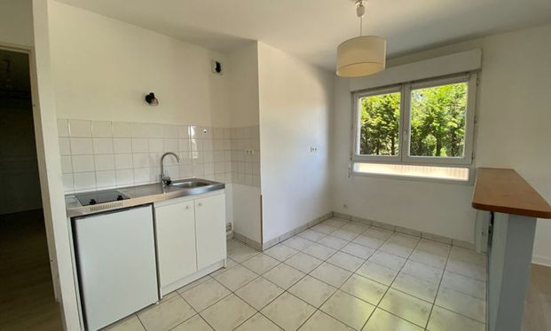 Location Appartement 2 pièces LIMOGES (87000) - Photo 1