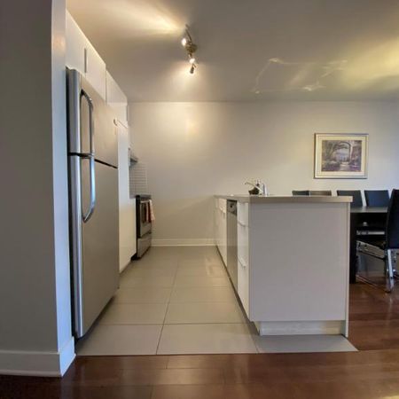 3 CH - 2 SDB - Montréal - $2,700 /mo - Photo 4