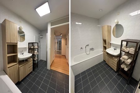 EINDHOVEN, De regent - Photo 5