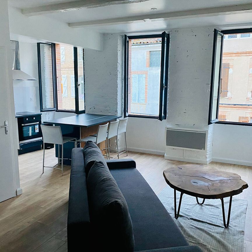 Appartement T2 Beaumont-de-Lomagne à louer - Photo 1