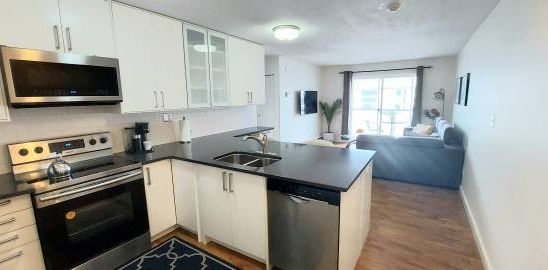 2 BR Fully Furnished Condo (all utilities included) - Photo 2