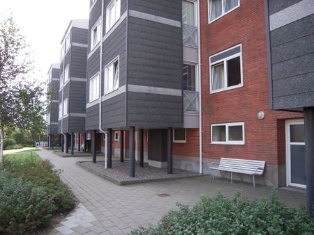 7800, Skive - Photo 5