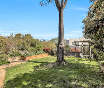 72 Fitchett St, Garran ACT 2605 - House For Rent | Domain - Photo 6