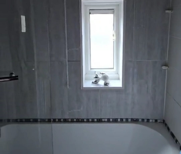 3 bedroom house to rent - Photo 4