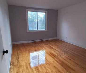 6644 Av. McLynn - Photo 5