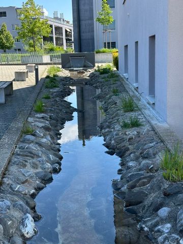 Paar oder Singlewohnung mit grossem Sitzplatz - Foto 2