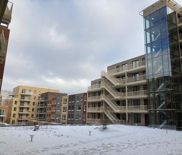 Verhuurd onder voorbehoud: Leeuwenhoekpark, Van 100 - Photo 1
