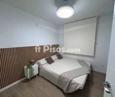 Piso en alquiler en Guardamar del Segura - Photo 3