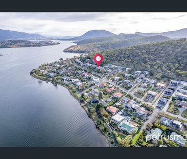 Renovated Family Home - Photo 5