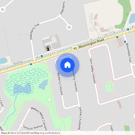 56 Barberry Crescent Unit# Lower, Richmond Hill