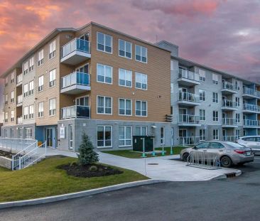 The Pinehill Apartments — 404 - Photo 1
