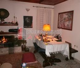 Μονοκατοικία για ενοικίαση - Άμφισσα, - Φωτογραφία 1