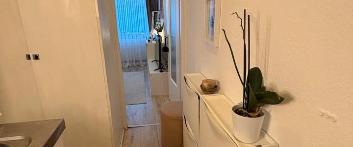 21 m² Wohnung in Köln-Zollstock – ab 31.12.2025 zu vermieten - Foto 1