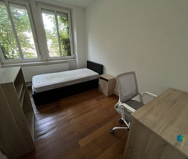 1 Chambre meublée à louer dans un 3 pièces en colocation - Boulevard de Nancy à Strasbourg - Photo 1