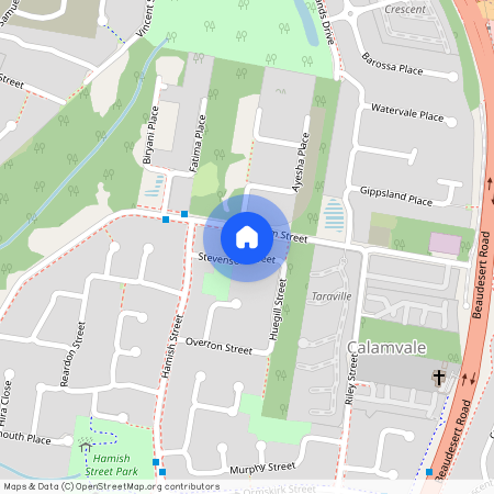 12 Stevenson Street, Qld 4116, Calamvale