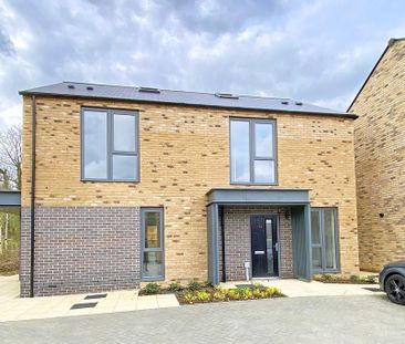 2 bedroom semi-detached house to rent - Photo 2