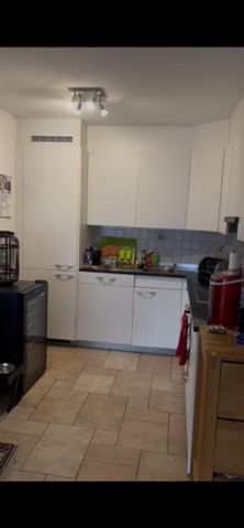 Via Sempione 7, 6600, Locarno - Photo 3