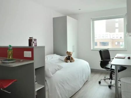 Premium Studio - Photo 5