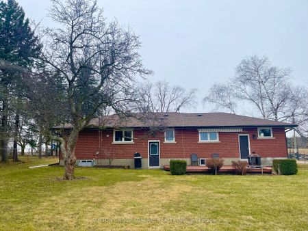 Detached Home For Lease | N8143552 - Photo 4