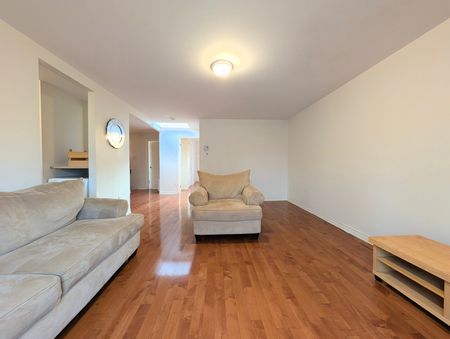 Rue Jeanne-Mance, H2X 2J8, Montréal - Photo 5