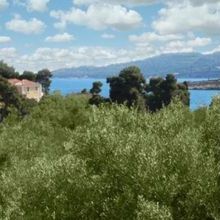 Βίλα για ενοικίαση - Σπέτσες, - Photo 4
