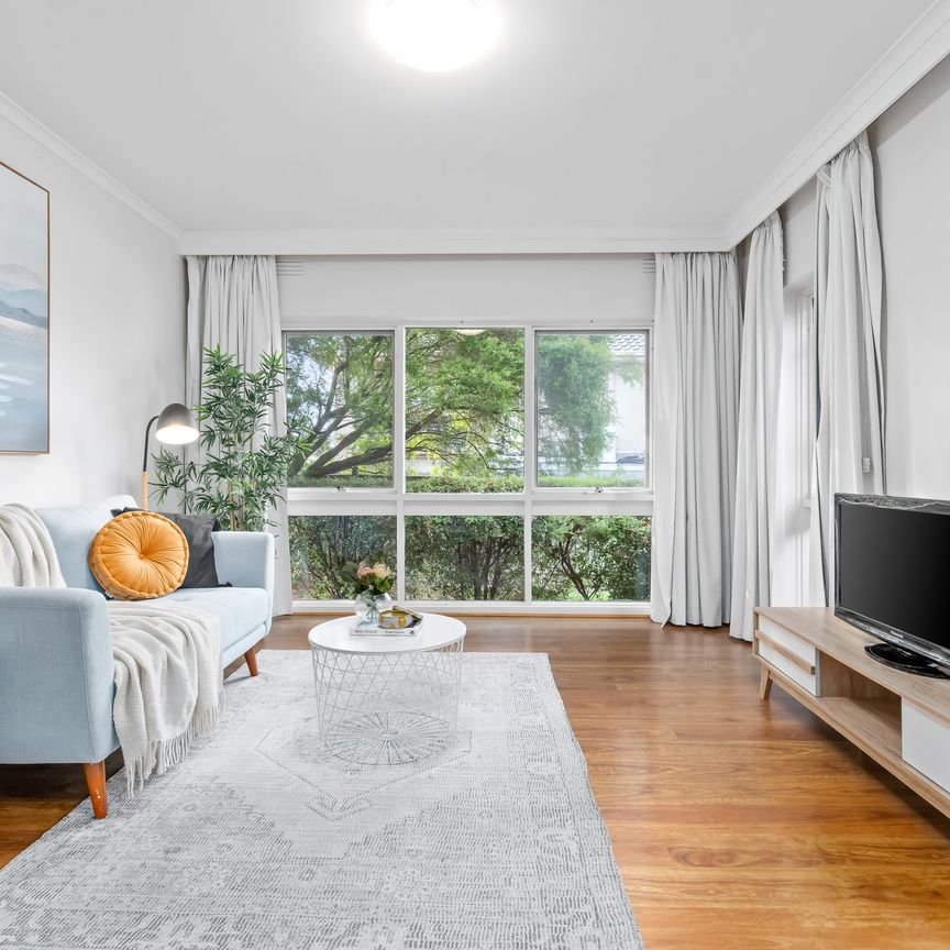 LIGHT FILLED APARTMENT IN KEW - Photo 1