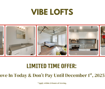Vibe Lofts - Photo 5