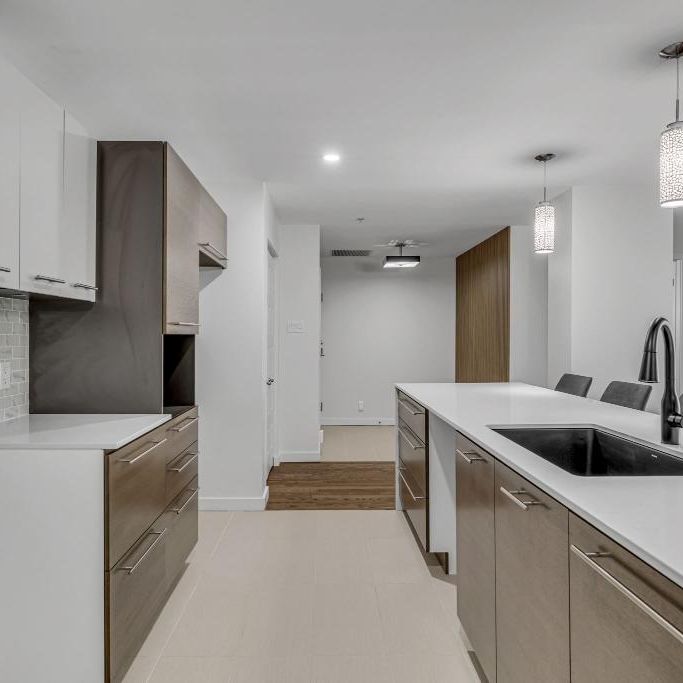 condo à louer dans le Vert-Mezzanine - Photo 1