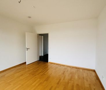 Große 2-Zimmerwohnung mit Dachterrasse ab sofort frei - Photo 1
