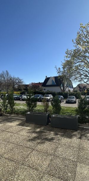 Strasbourg - Photo 1