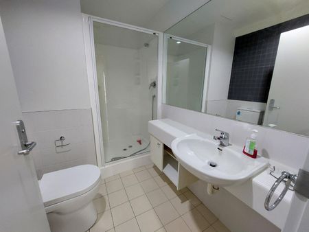 Recently Renovated Apartment - Photo 5