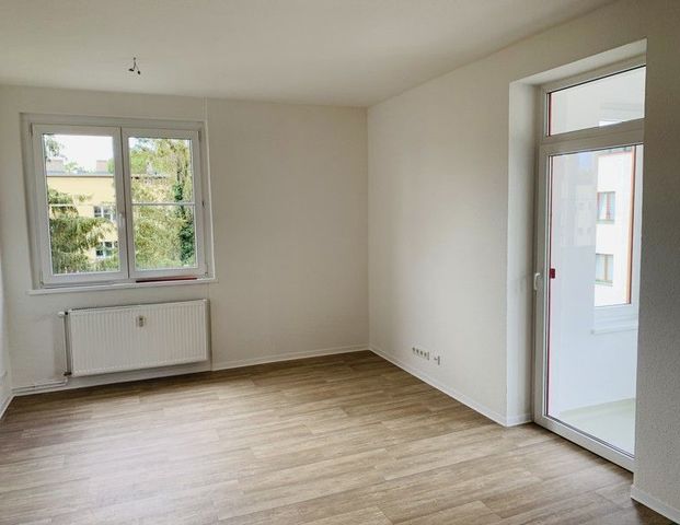 Familienidylle in Cracau - Photo 1