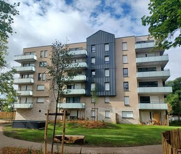 Location Appartement 2 pièces 42m² ST ANDRE LEZ LILLE 59350 - Photo 5