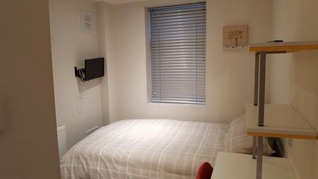 4 bedroom house share to rent - Photo 5