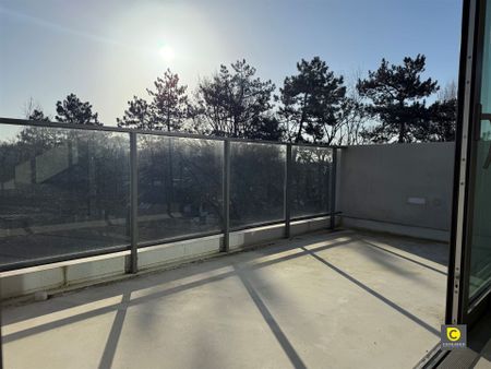 Dakappartement: 2 slk, T en P - Photo 3