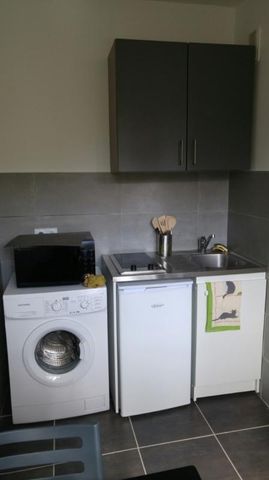Location Appartement 1 pièce 28m² NANCY 54000 - Photo 4