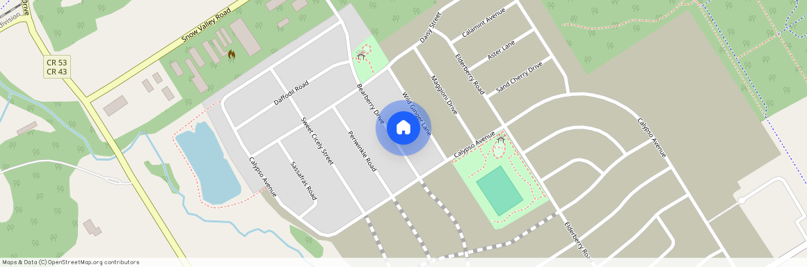 99 BEARBERRY Road, Springwater