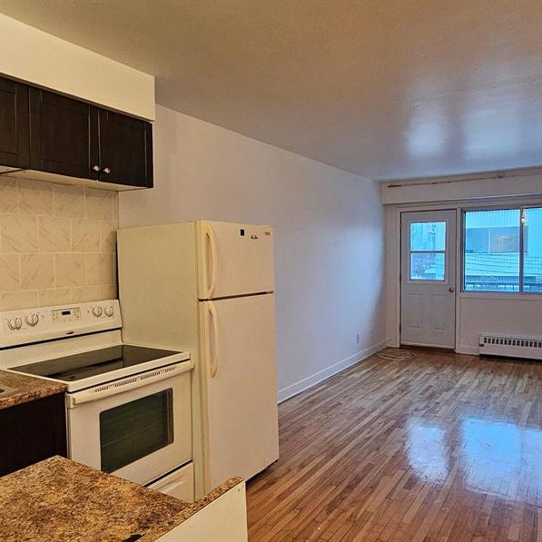 1 CH - 1 SDB - Montréal - $1,000 /mo - Photo 1