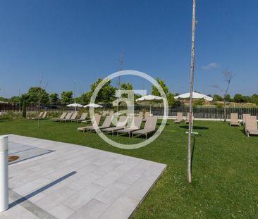 Estudio de alquiler en de Perdiguera, Zona Industrial - Photo 3