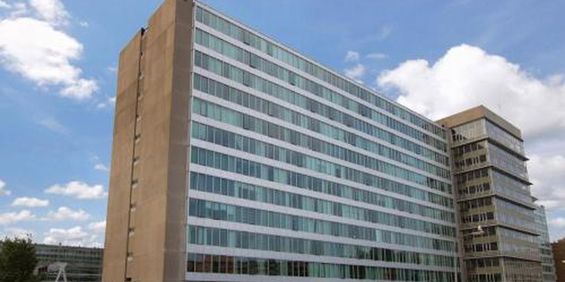 Bos en Lommerplantsoen 1055 Amsterdam - Foto 3