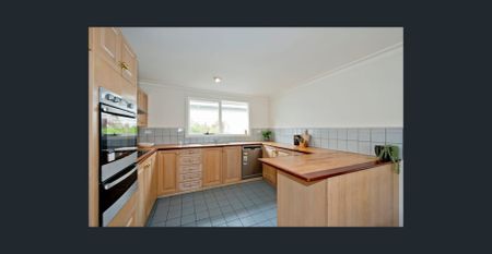 CHARACTER, POOL AND LIFESTYLE IN A PRIME INNER-NORTH SETTING - Photo 4