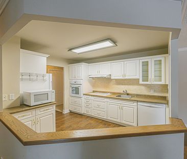 For Lease - 155 Main Street Unit# 227, Newmarket, Ontario - Photo 6